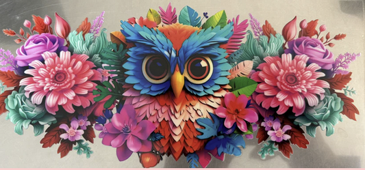 Owl 2