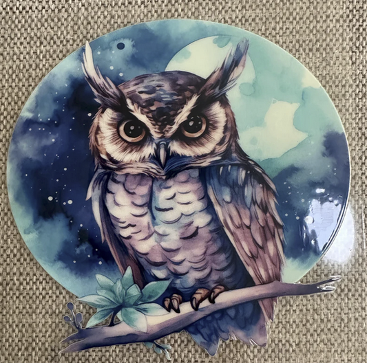 Owl and moon