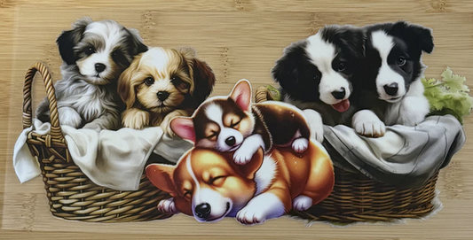Puppies