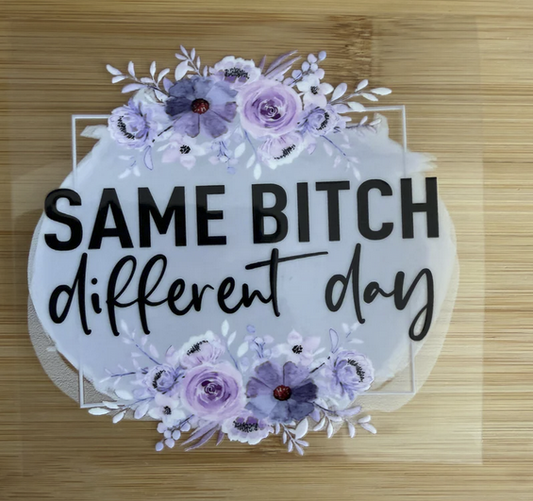 Same bitch different day