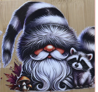 gnome raccoon