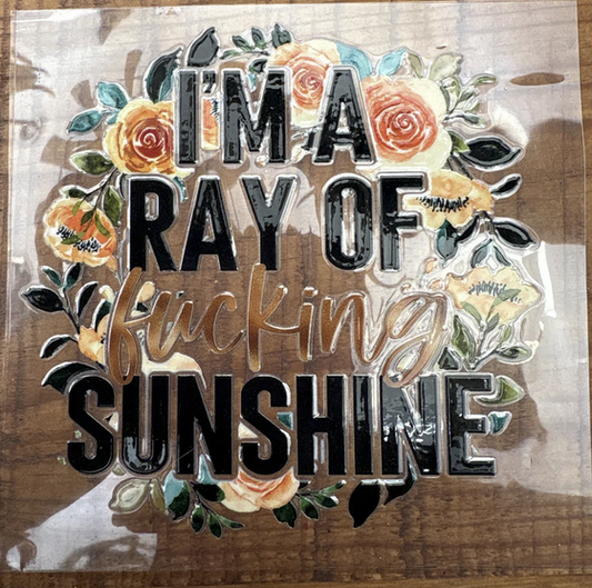 ray of effing sunshine