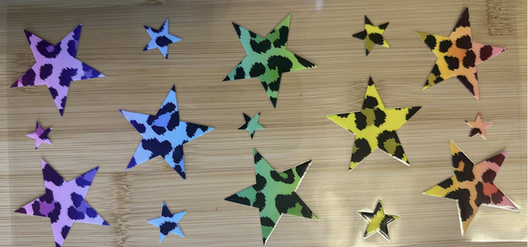 Cheetah Stars
