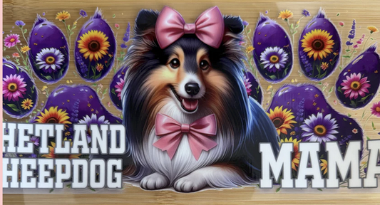 Shetland Sheepdog Mama