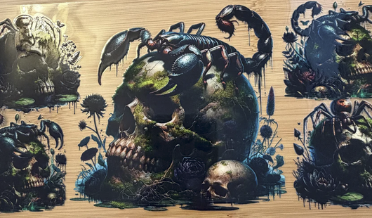 Skull & Scorpions