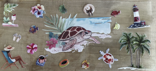 Turtle 2
