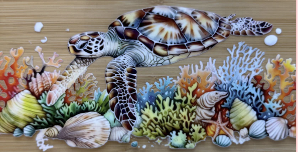 Turtle 3