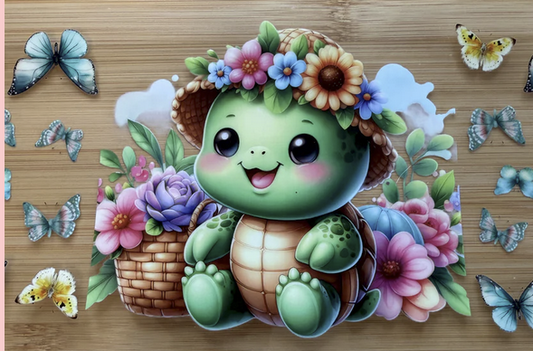 Turtles 6