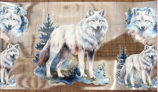 Wolves 6